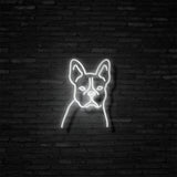 Frenchie Neon Sign | NEON SIGNO® Custom Neon Signs