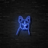 Frenchie Neon Sign | NEON SIGNO® Custom Neon Signs