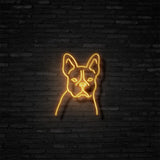 Frenchie Neon Sign | NEON SIGNO® Custom Neon Signs