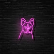 Frenchie Neon Sign | NEON SIGNO® Custom Neon Signs