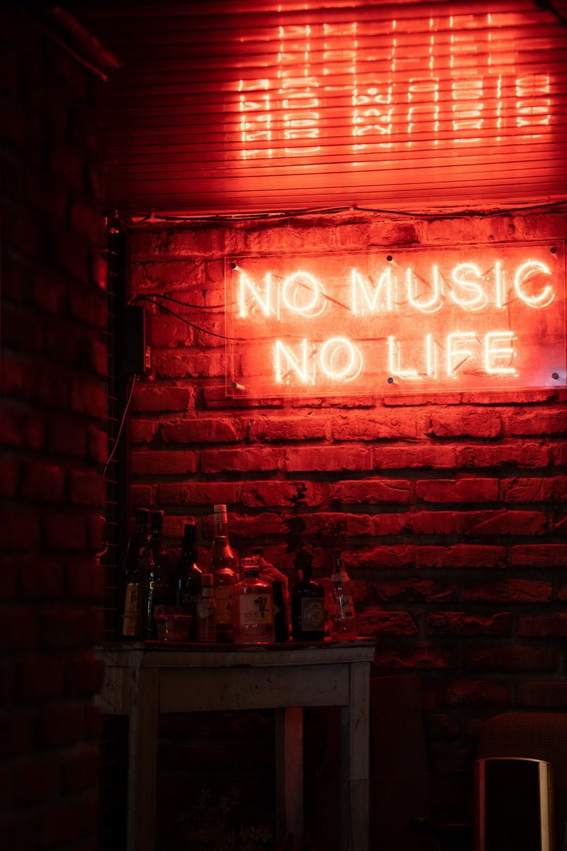 No Music No Life Neon Sign | NEON SIGNO® Custom Neon Signs