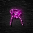 Rottweiler Neon Sign | NEON SIGNO® Custom Neon Signs